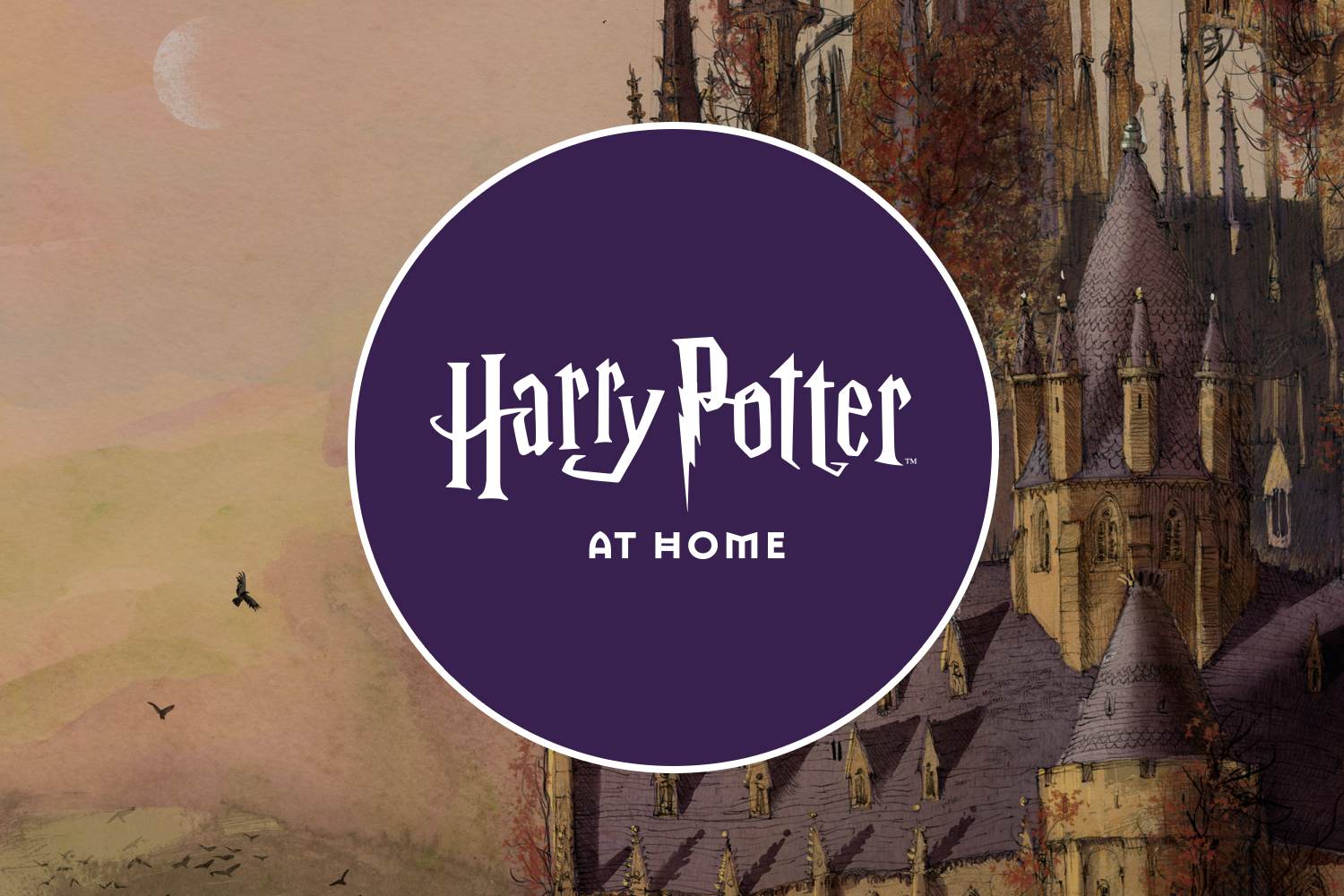 Harry Potter at Home - Home Learning School