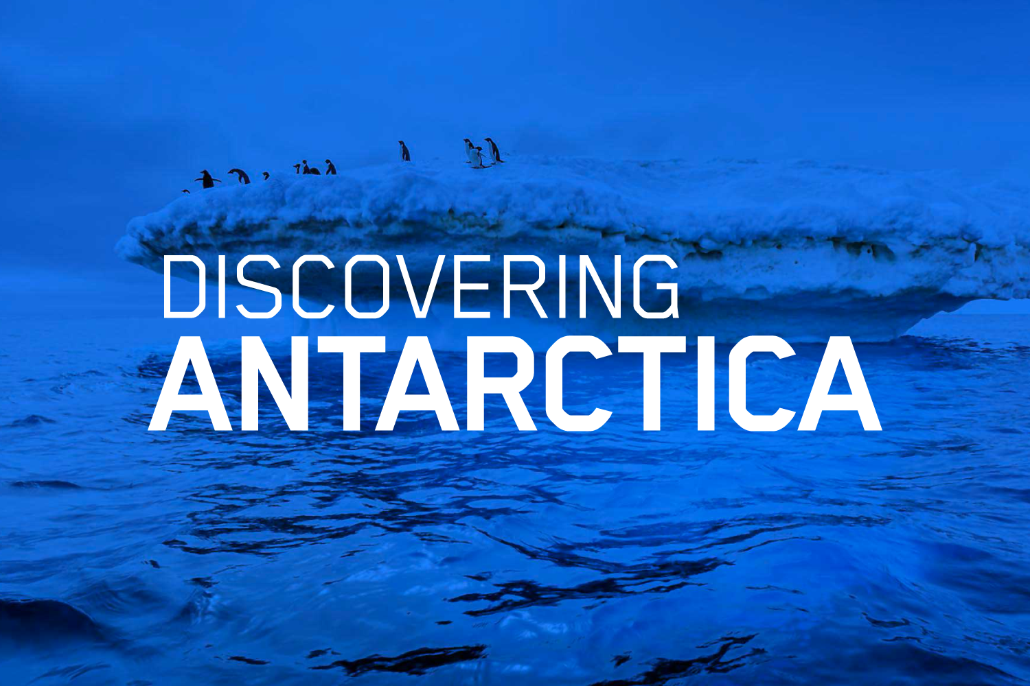 Discovering Antarctica - Home Learning School